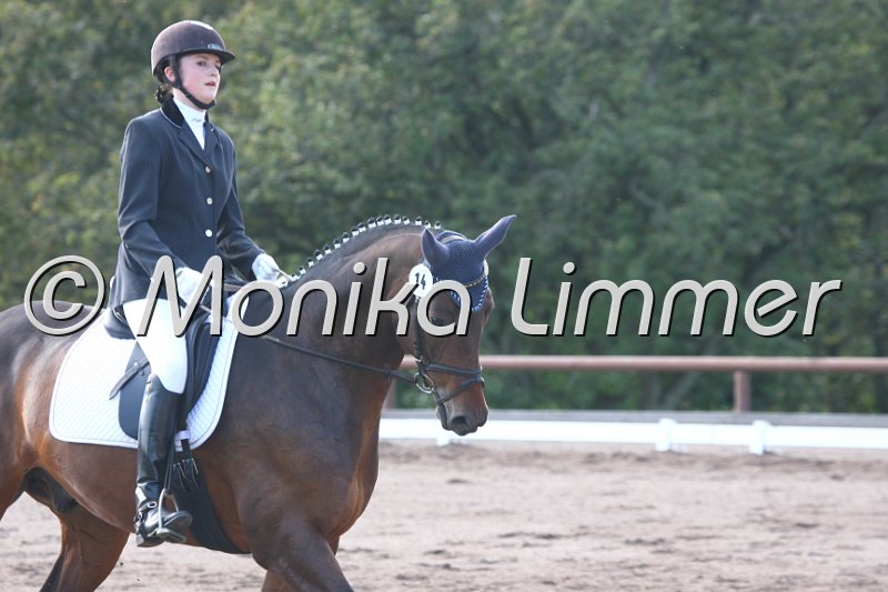 009M0545_Camaro_Dressur A.JPG